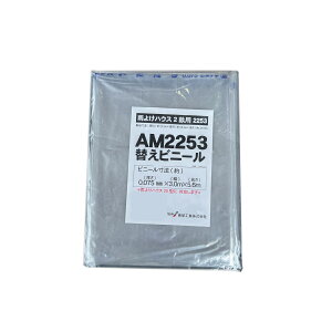 y12͖JÁIGg[ōő100|CgobNzhH փrj[ AM2253