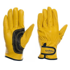 z[P O[u gbJ[ CG[ M C502