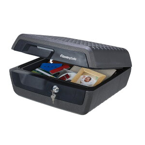 Zg[ Sentry |[^u30ω΁Ehۊǌ(A4[\)tbgL[2{t CHW30100