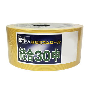 oh[w ݂胍[  30^ č삭 @@S[
