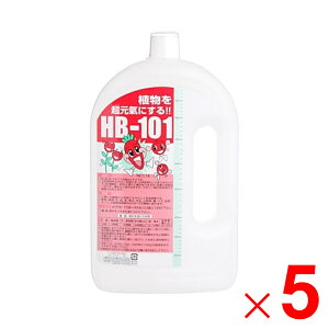 t[ VRA HB-101 1L ×5 P[X̔