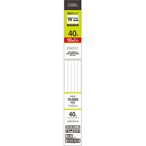 I[d@ ǌuv X^Cv 40W O[X^[^` F 10{ FL40SSEW/36 10P