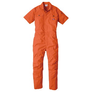 �f�B�b�L�[�Y Dickies �X�g���b�`CVC �����c�i�M �I�����W L D-749