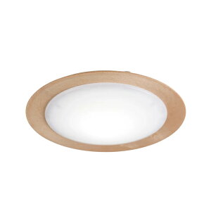 �X�����d�� LED���^�V�[�����O���C�g CE-1004NA