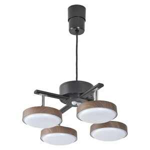 �I�[���d�@ LED4���y���_���g���C�g �������F �_�[�N�u���E�� LT-YLP4RC-K