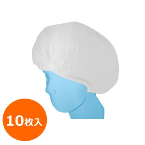 J@[[N sDz wA[Lbv 10 F(t[TCY) zCg FT-900-10P