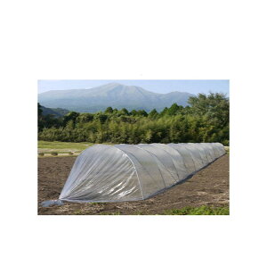 hH glA[`Zbg 7 rj[nEX { 2310 yƍ܂ցz