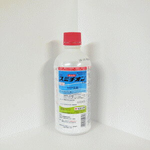 �y12���͖����J�ÁI�G���g���[�ōő�100���|�C���g�o�b�N�z�X�~�`�I������ 500ml