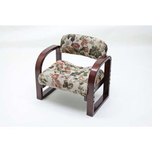 y12͖JÁIGg[ōő100|CgobNzcR[|[V ₷炬K֎q  A8-YB55GB