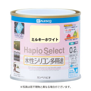 JynsI VRprh ₠ nsIZNg ~L[zCg 0.2L