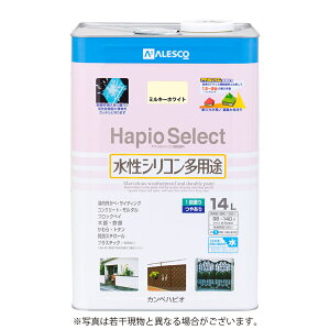 JynsI VRprh ₠ nsIZNg ~L[zCg 14L