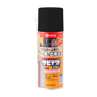【6月5日限定！最大100％ポイントバック】カンペハピオ サビテクトスプレー くろ 300ML