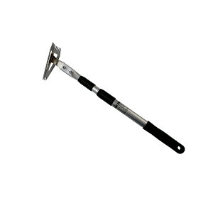 CLUB.J 3iLk XeX z[ 720118 A[NY