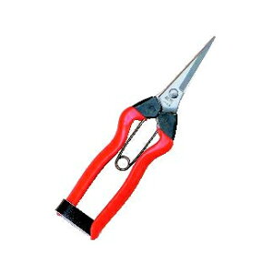 ѐ zH XeX E 185mm K-9