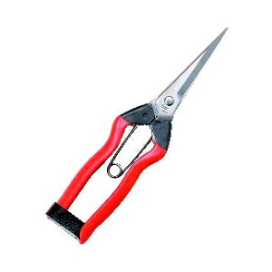 ѐ zH XeX nE 200mm J-2