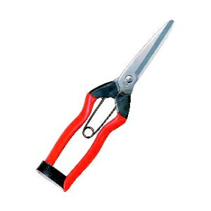 ѐ zH XeX n 200mm J-3