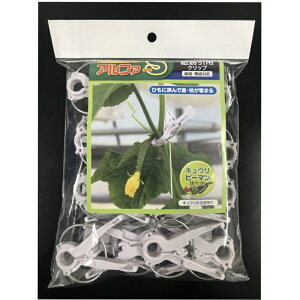 V[ At@S RUp 24P AS-P24