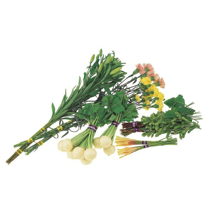 楽天市場】【4月5日限定！最大100％ポイントバック】マックス 野菜結束 