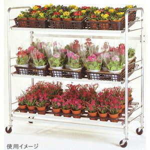 y115Iő100|CgobNzy@lz{G쏊 JjJ[S ؉׃J[S ~j KC-02M y[J[EsEuzsz