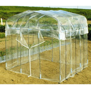 _C DAIM _CnEX rj[nEX 1ؗp y[J[EsEuzsEznz