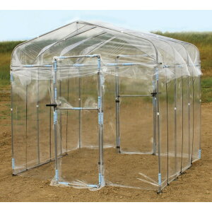 _C DAIM _CnEX hAt 1 y[J[EsEuzsEznz