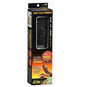 y1125Iő100|CgobNzWFbNX GEX GL]e C[W[O[T[