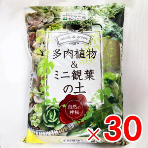 y9͖JÁIGg[ōő100|CgobNzԂ ~jϗtA̓y 1L ×30 P[X̔