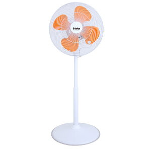 y12͖JÁIGg[ōő100|CgobNzy@lzXCf t~St@ SF-45VF-1VP2 y[J[EsEuzsz