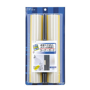 y12͖JÁIGg[ōő100|CgobNz}CXg R[i[K[h 5117