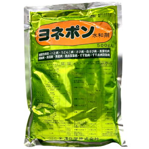 y9͖JÁIGg[ōő100|CgobNzl|a 500g