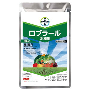 y1125Iő100|CgobNzu[a 500g