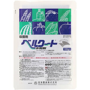 xN[ga 100g