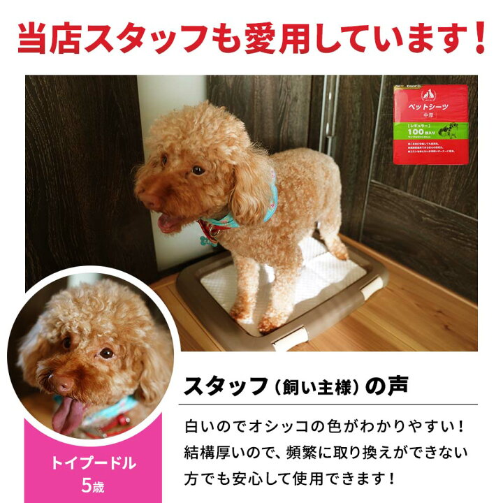 楽天市場】ニコペット ペットシーツ 中厚 スーパーワイド 60×90cm 100枚 (25枚入×4パック) ケース販売 : Arcland Online 楽天市場支店 楽天市場】ニコペット ペットシーツ 中厚 スーパーワイド 60×90cm 100枚 (25枚入×4パック) ケース販売 : Arcland Online 楽天市場支店