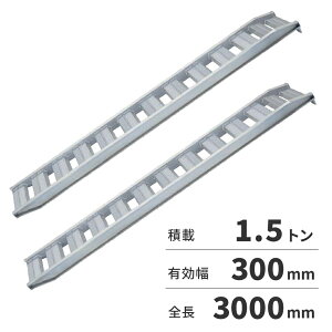 y12͖JÁIGg[ōő100|CgobNzy@lzyANg A~ubW 2{1Zbg PXubWiAOtbN^Cvj PX15-300-30 y[J[EsE