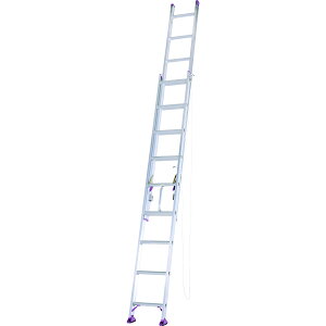 �y4��5������I�ő�100���|�C���g�o�b�N�z�y�@�l����z�A���C���R 2�A�͂��� �S��5.24m CX50DE �y���[�J�[�����E����s�E�u�z�s�E�z���n�����z