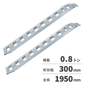 y12͖JÁIGg[ōő100|CgobNzy@lzyANg NFubW 2{1ZbgixtbN^Cvj NF08-C6-30 y[J[EsEuzsEzn