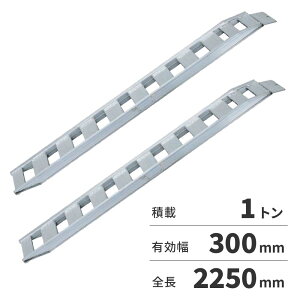 �y6��5������I�ő�100���|�C���g�o�b�N�z�y�@�l����z���y���A�N�g NF�u���b�W 2�{1�Z�b�g�i�x�����t�b�N�^�C�v�j NF10-C7-30 �y���[�J�[�����E����s�E�u�z�s�E�z���n�����z