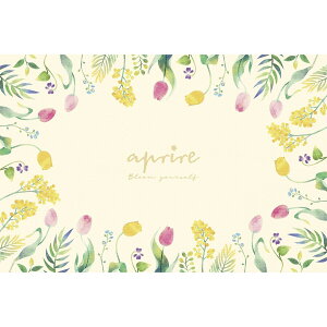 LveX^bO Av[ \tgNbVW[V[g90×60cm OE UT-1014