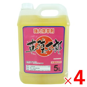 y12͖JÁIGg[ōő100|CgobNzVZC ͂ꑾY 5L ×4 Zbg̔ y[J[EsEuzsz