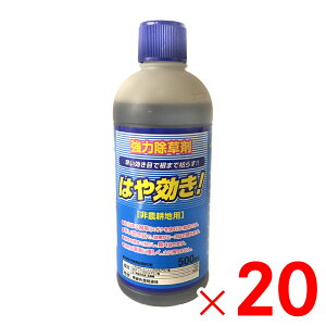 VZC ͂ 500ml ×20 Zbg̔ y[J[EsEuzsz