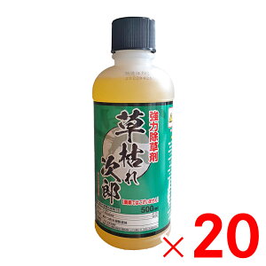 y9͖JÁIGg[ōő100|CgobNzVZC ͂ꎟY 500ml ×20 Zbg̔ y[J[EsEuzsz