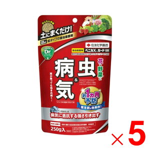 ZFw| xjJXK[h 250g ×5 Zbg̔