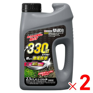 y9͖JÁIGg[ōő100|CgobNzZFw| ގKOV[GT 2.5L ×2 Zbg̔