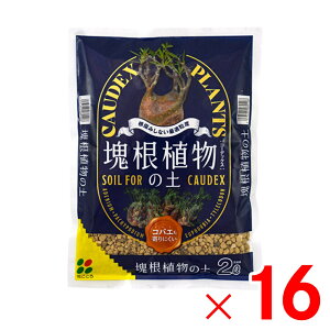 Ԃ 򍪐AR[fbNX̓y 2L ×16 Zbg̔