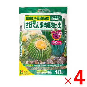 y9͖JÁIGg[ōő100|CgobNzԂ ڂĂ񑽓A̓y  10L ×4 Zbg̔