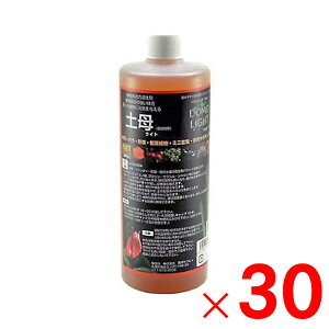 y9͖JÁIGg[ōő100|CgobNzZsB y Cg Xg[g^Cv 500ml ×30 P[X̔