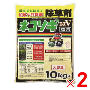 y9͖JÁIGg[ōő100|CgobNzC{[i lR\MG[XV 10kg ×2 Zbg̔