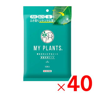 ZFw| MY PLANTS tꂢɂV[g 10 ×40 P[X̔