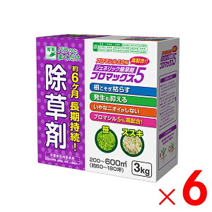 n[g u}bNX5 3kg ×6 P[X̔