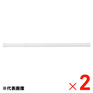 �t���l�X ���͂��ς�|�[�� �� LL�T�C�Y �z���C�g 170-300cm�L�k I7905×2�� �Z�b�g�̔� �y���[�J�[�����E����s�E�u�z�s�E�z���n�����z